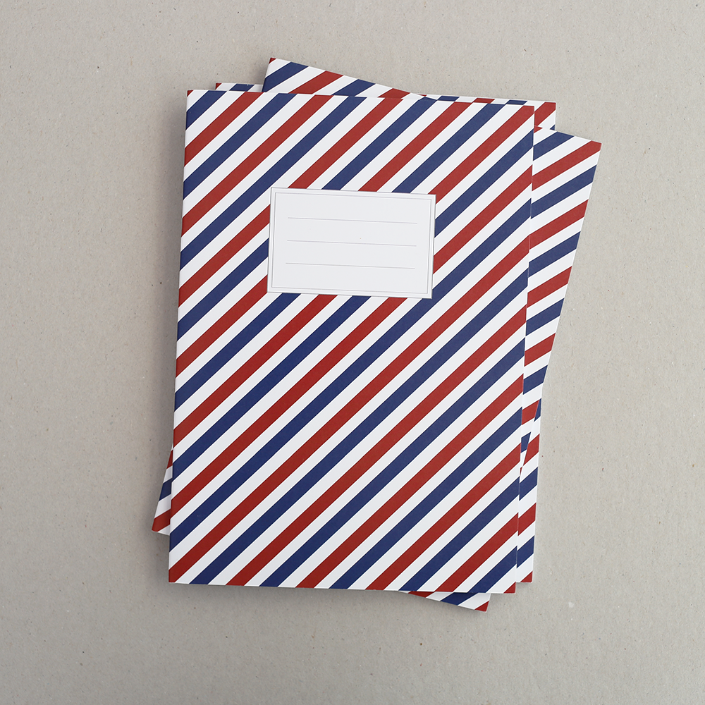 Sketchbook | Stripes Blue Red image 1