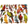 German Paper Scraps Birds | 134 image 0