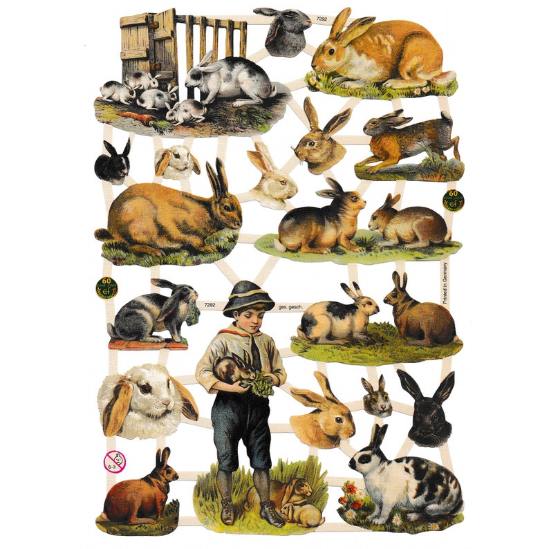 Vintage Lithography Sheet Animals | 146 image 0
