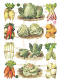 Vintage Lithography Sheet Vegetables | 157 image 0