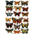 Die Cut Paper Scraps - Butterflies | 1 image 0