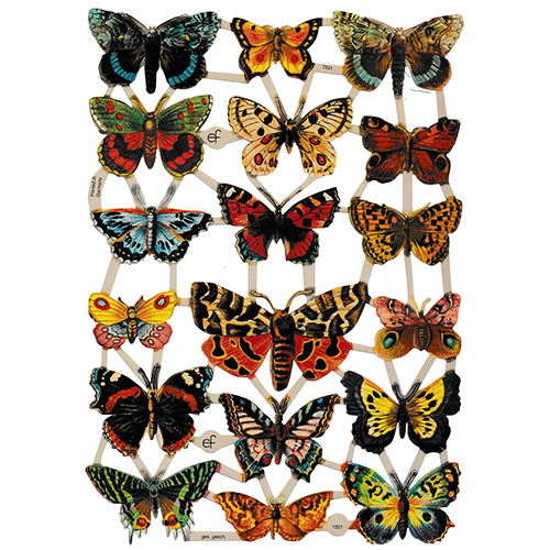 Die Cut Paper Scraps - Butterflies | 1 image 0