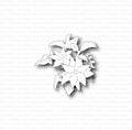 Gummiapan - Poinsettia