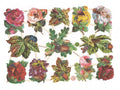 Vintage Lithography Flowers | 161 image 0