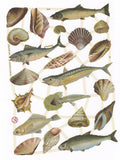 Vintage Lithography Sheet Animals | 154 image 0