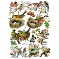 Die Cut Paper Scraps -  Birds | 12 image 0
