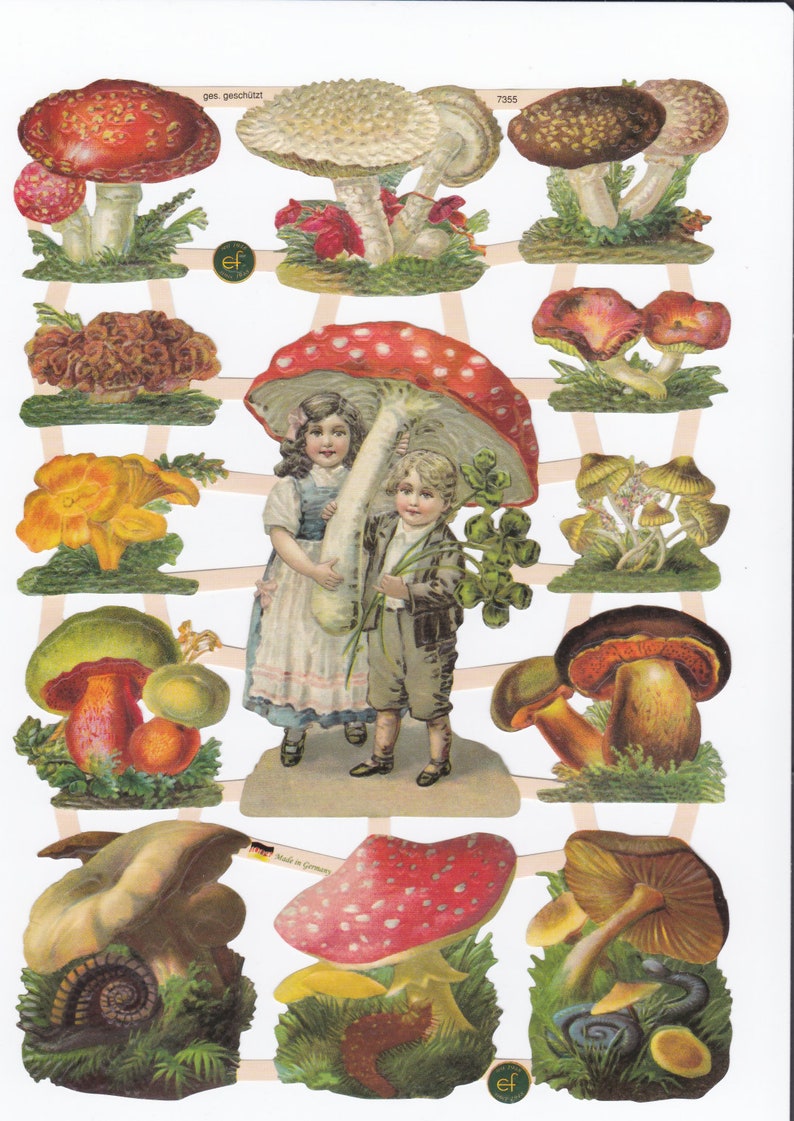 Vintage Lithography Sheet Mushrooms | 136 image 0