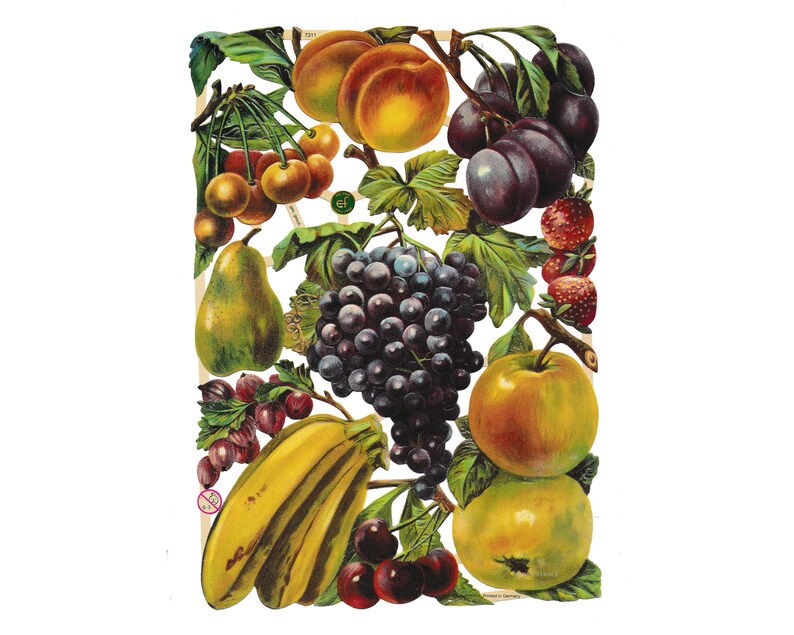 Vintage Lithography Sheet Fruit | 264 image 0