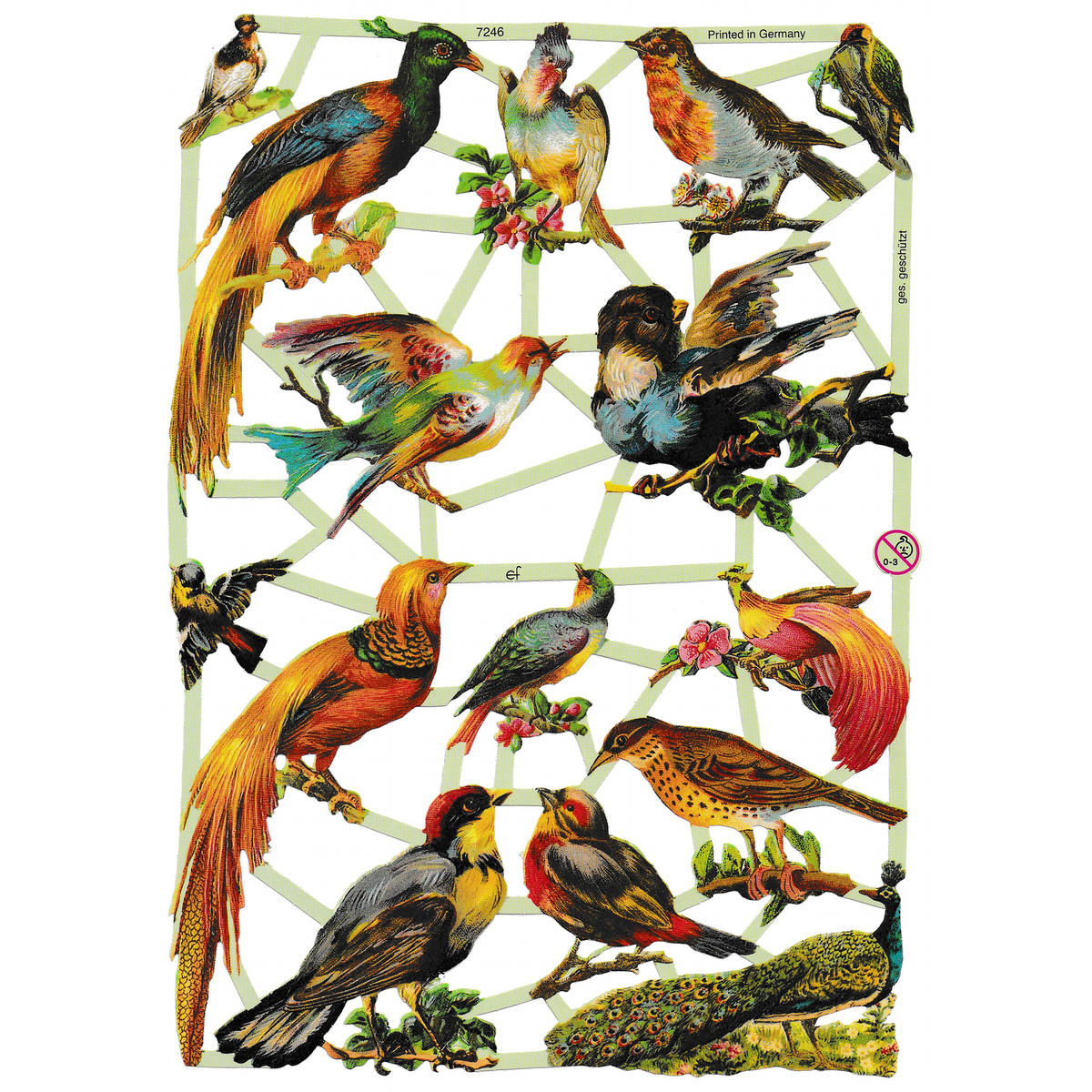 Vintage Lithography Sheet Birds | 100 image 0