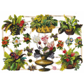 Vintage Lithography Sheet Flowers | 147 image 0