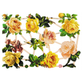 Vintage Lithography Sheet Flowers | 90 image 0