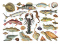 Vintage Lithography Animals | 158 image 0