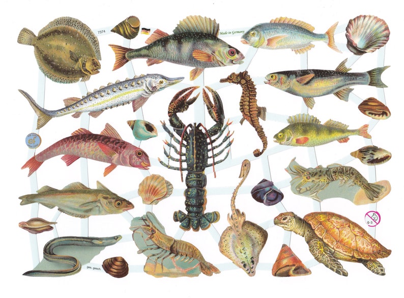 Vintage Lithography Animals | 158 image 0