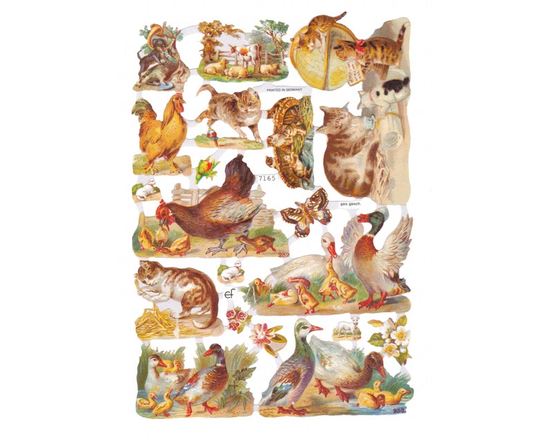 Die Cut Paper Scraps - Chicken | 6 image 0