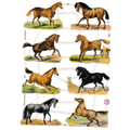 Vintage Lithography Sheet Horses | 111 image 0