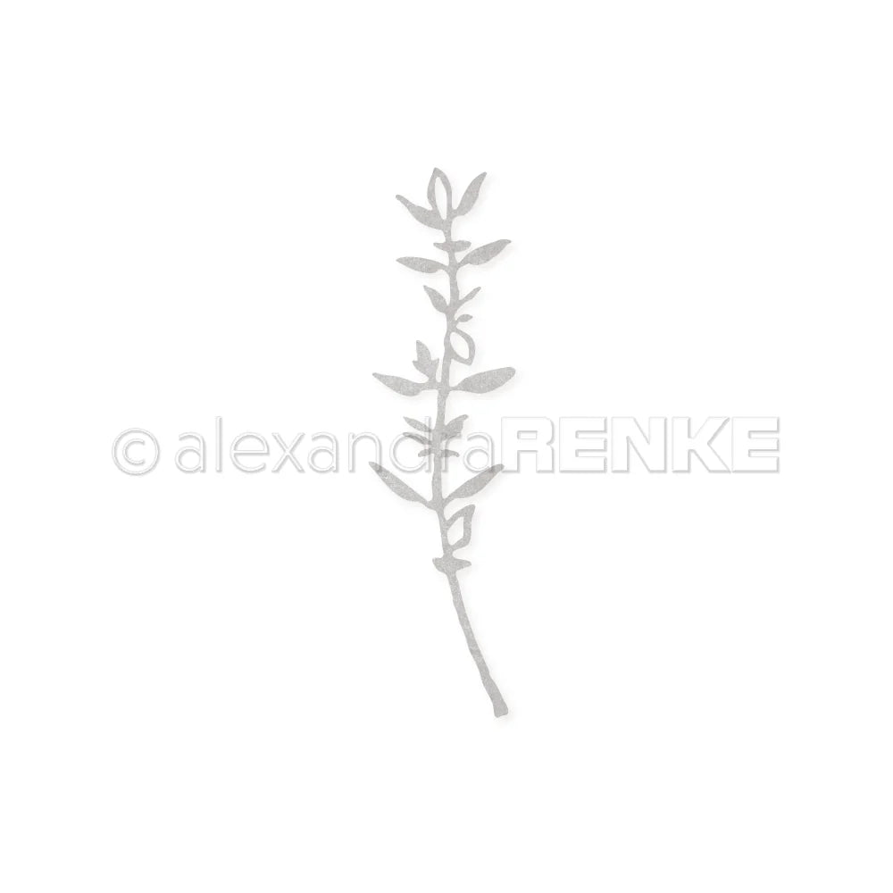 Alexandra Renke - Die 'Thyme'