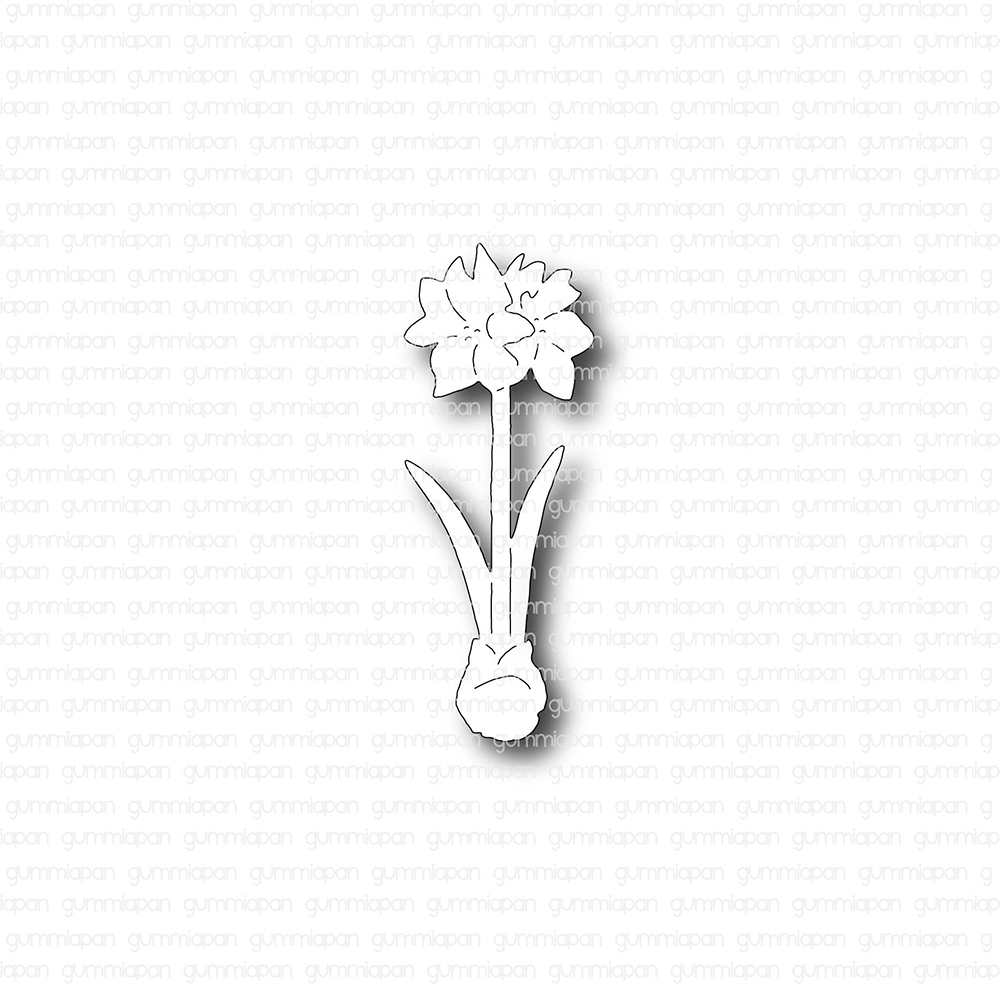 Gummiapan - Amaryllis
