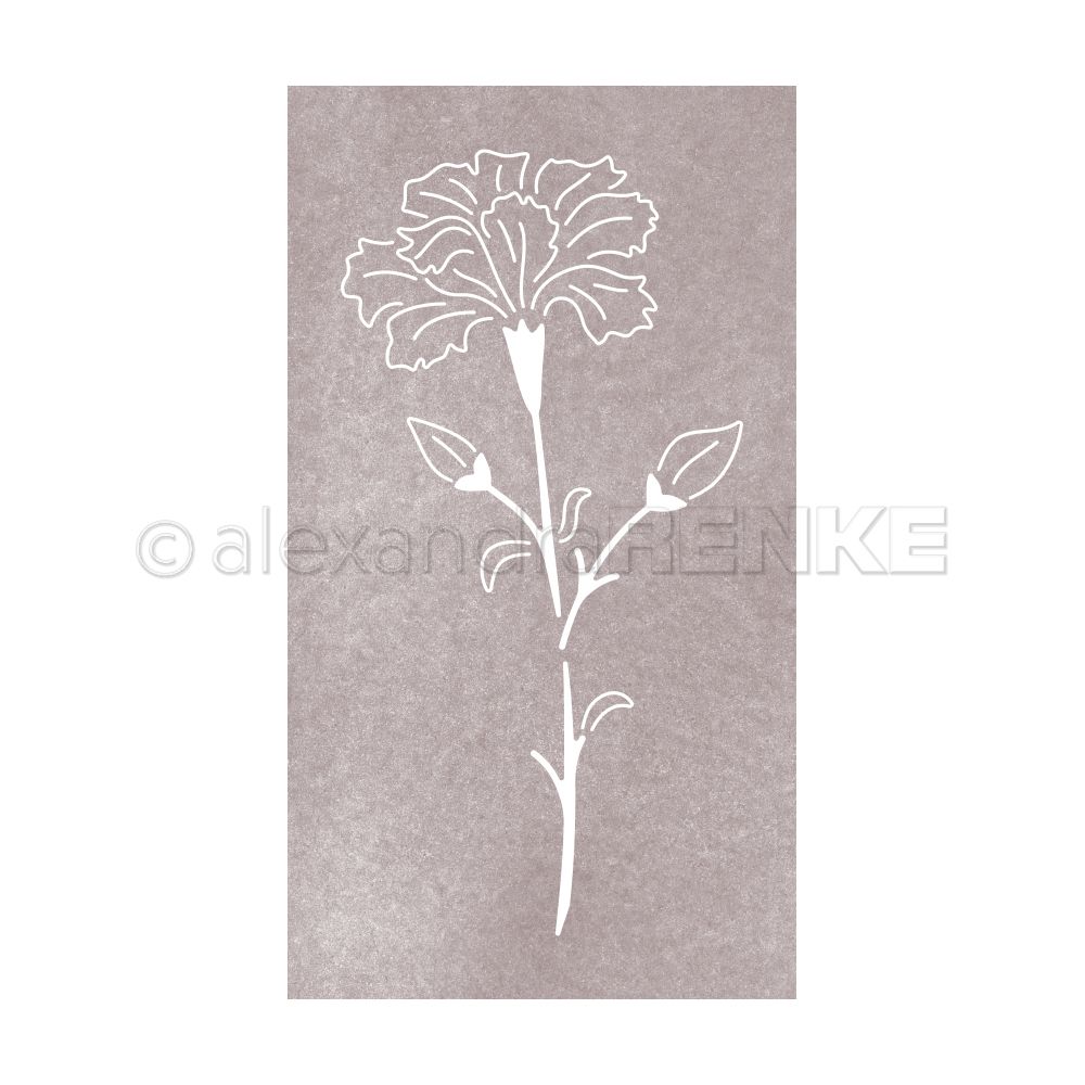 Alexandra Renke - Die 'Negative Flower 6'