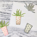 Gummiapan - Plant with Pot