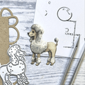 Gummiapan - Poodle