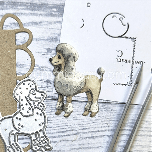 Gummiapan - Poodle