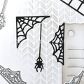 Gummiapan - Spider Web and Spider