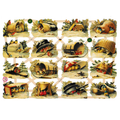 Vintage Lithography Sheet Birds | 114 image 0