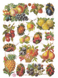 Vintage Lithography Sheet Fruit | 153 image 0
