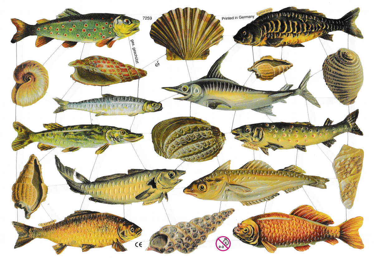 German Paper Scraps Fish | 201 image 0