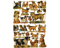 Vintage Lithography Sheet Dogs | 173 image 0