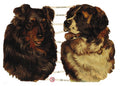 Vintage Lithography Style Sheet  | 224 image 0