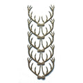 Dresden Ornaments - Antlers image 0